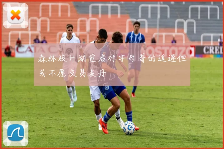 森林狼计划重启对字母哥的追逐但或不愿交易麦丹