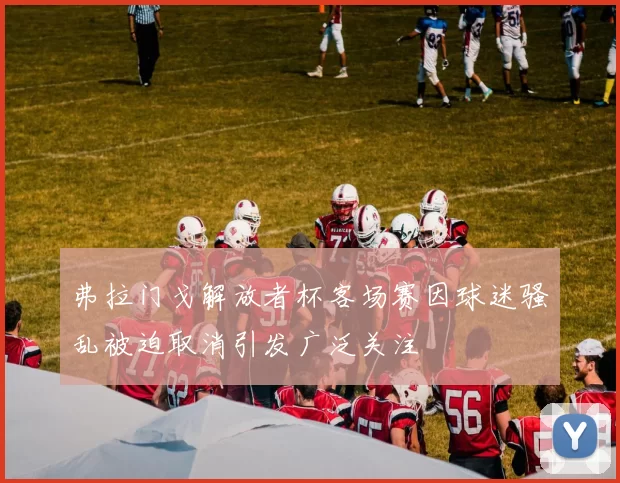 弗拉门戈解放者杯客场赛因球迷骚乱被迫取消引发广泛关注
